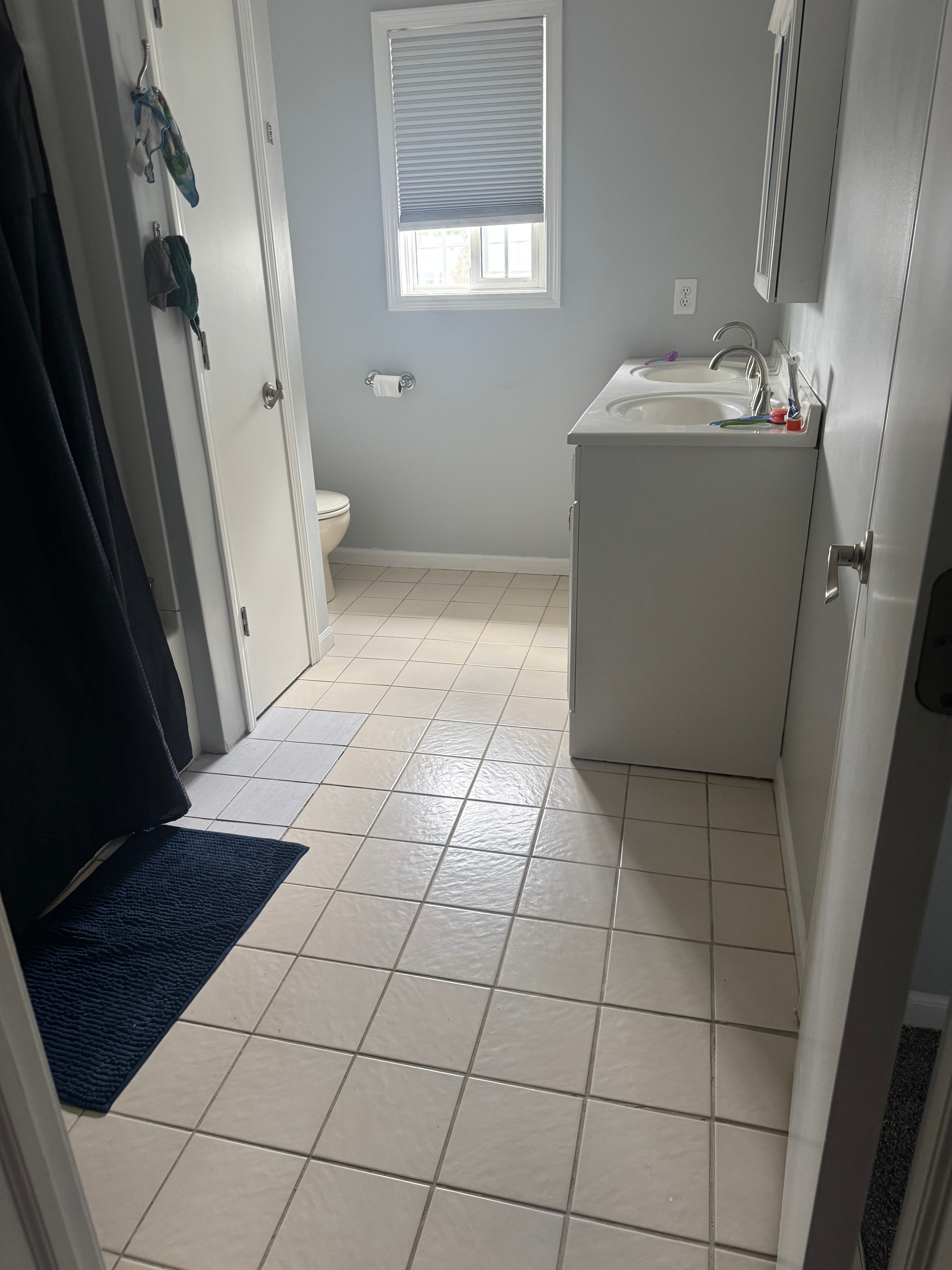 Basic Cleaning