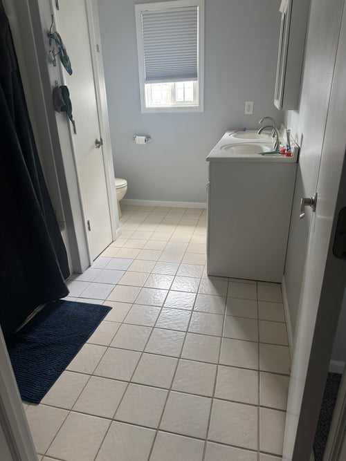 Basic Cleaning