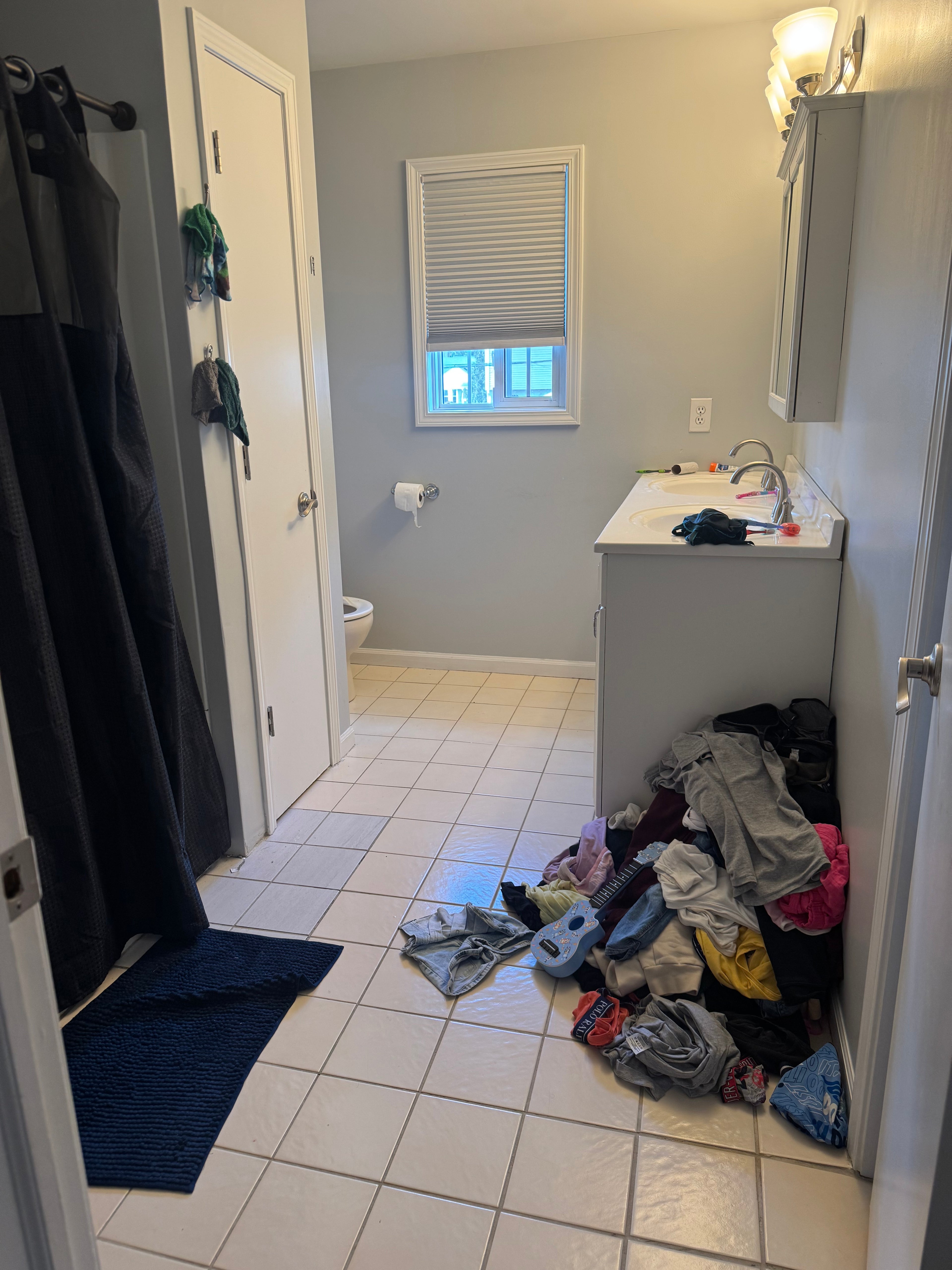 Basic Cleaning